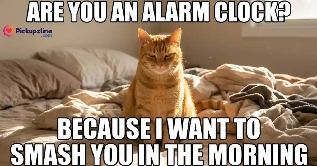 Funny Dirty Pick Up Line Memes